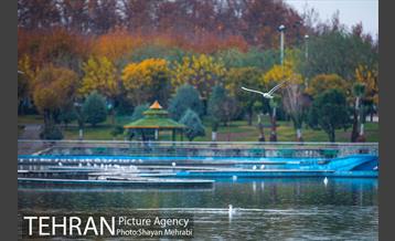 پاییز در بوستان المهدی(عج) 18