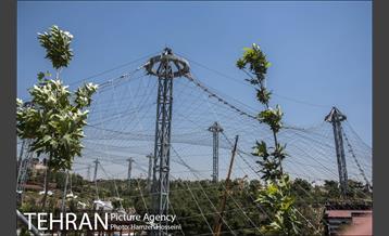 آخرین روزهای ساخت فاز2 باغ پرندگان 5