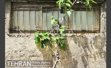 پنجره های شهر تهران 2