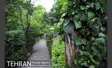 بوستان جمشیدیه 12