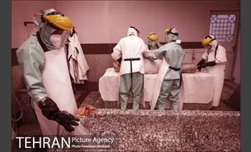 تاخت و تاز در وضعیت قرمز 8