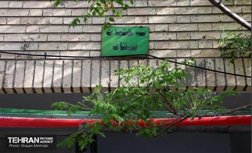 آغاز ساخت بزرگترین پردیس فرهنگی، هنری و آموزشی غرب خاورمیانه 18