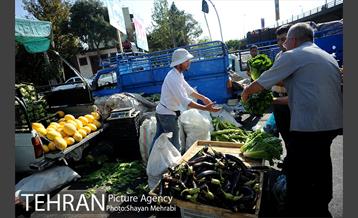 میوه فروشان خیابانی 9