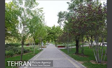 بوستان پلیس 11