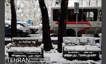 بارش اولین برف پاییزی در تهران 6