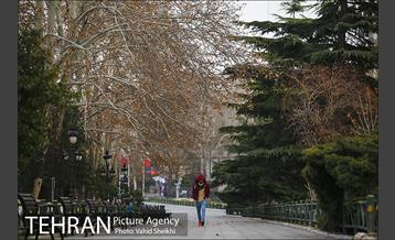 پارک ملت در یک روز زمستانی 18