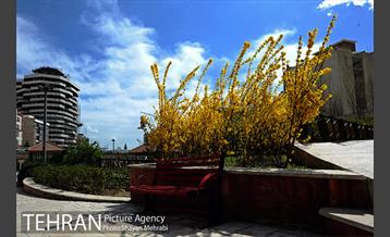 هوای پاک تهران 33