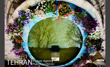 خانه مهربان تهران 6