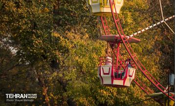 سمفونی رنگ های پاییزی / شایان محرابی