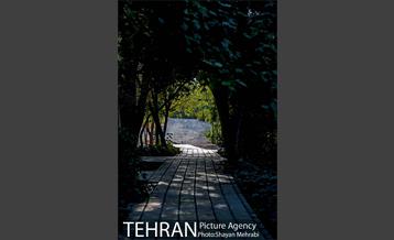 بوستان جنگلی چیتگر 20