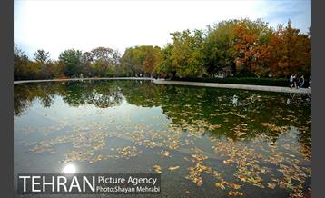 باغ گیاه‌شناسی ملی ایران 44