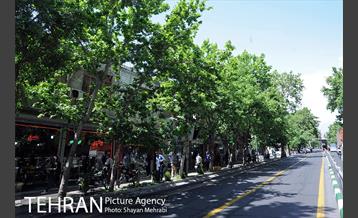 بورس لوازم ورزشی منیریه 24