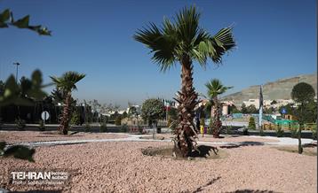 هفتاد‌ودومین رویداد امید و افتخار 21