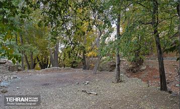 ­اکوپارک رود دره فرحزاد 50