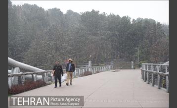 بارش باران در منطقه گردشگری عباس آباد 17