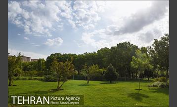 بوستان پلیس 32