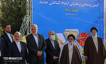 نکوداشت روز درخت‌کاری با حضور رئیس جمهور