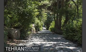 بوستان جمشیدیه‎ 12