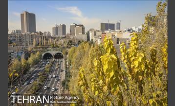 روزهای آفتابی زمستان 8