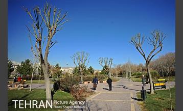 بوستان پلیس 5