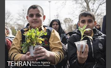 درختکاری و لانه گذاری کبوتر در بوستان بعثت 4