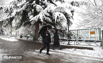 صبح برفی بوستان ملت 13