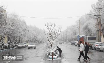 روز برفی تهران - 3 39