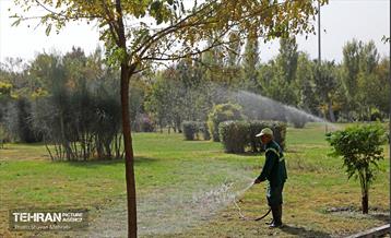 بوستان قائم 27