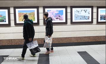 افتتاح نمایشگاه عکس «فرهنگ و آداب و رسوم ژاپن» 35