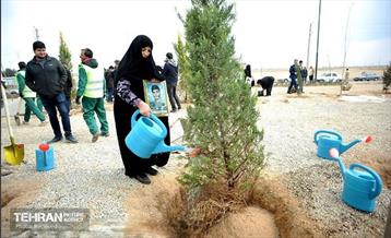 مادرانه‌ای برای شهر من 47