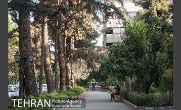 شهرک اکباتان‎ 20