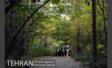 باغ گیاه‌شناسی ملی ایران 9