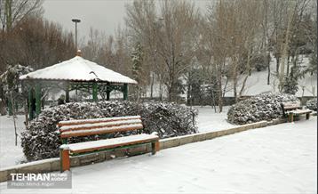 بارش برف زمستانی در منطقه ۲ 24