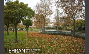 پاییز در بوستان رازی 19