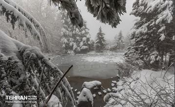 روایت مه‌و‌برف در بوستان سنگی تهران  24