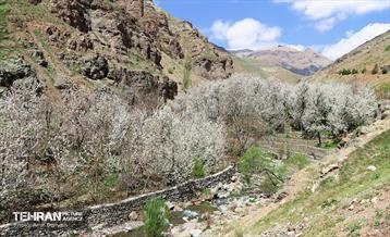 طبیعت بهاری روستای سنگان 31