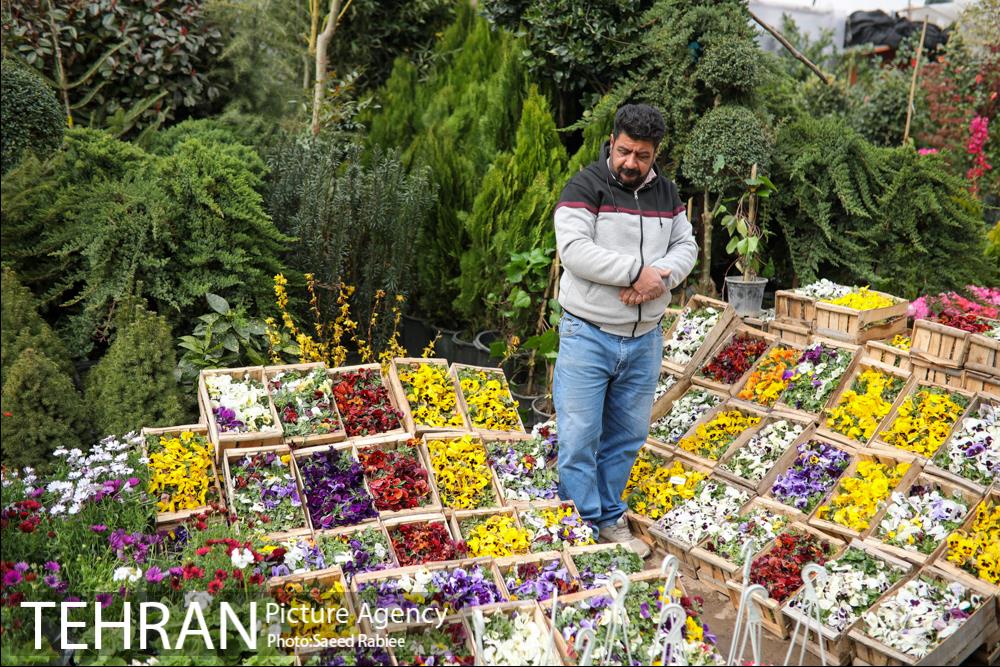 بازار گل و گیاه غرب تهران در آستانه نوروز 22