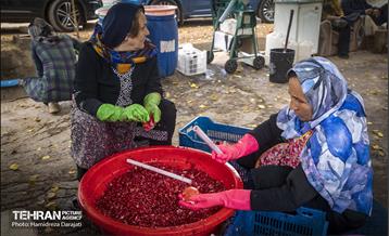 یـاقوت سرخ  18