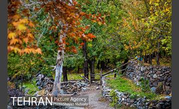 طبیعت پاییزی روستای سنگان 34