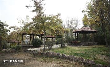 طبیعت پاییزی باغ راه فدک تهران 21