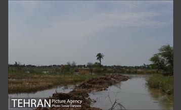 بازدید شهردار تهران از بخش سیل زده بستان خوزستان 25