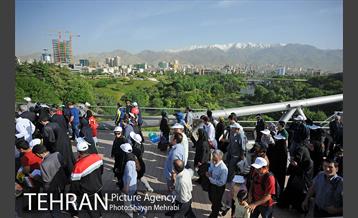 همایش پیاده روی خانوادگی کارکنان شهرداری 19