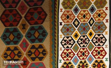 پنجمین جشنواره خرمالوی کن 6