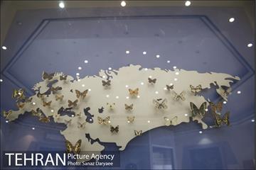 موزه طبیعت و حیات وحش ایران دارآباد‎ 18