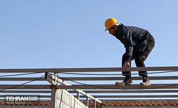 اینجا کارگاهه؛ بازار پرندگان خلیج فارس 5