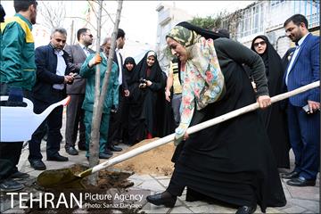 دومین جشنواره «خیابان در دست بچه هاست» 14