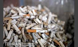 طرح پاکسازی پارک شهر تهران از فیلترهای سیگار  6