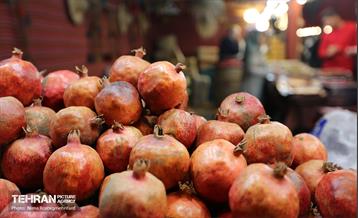 جشنواره انار در بوستان آب و آتش  12