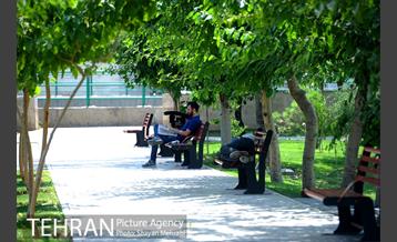 بوستان تمدن (گلبرگ) 6