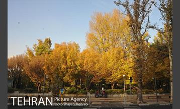 طبیعت پاییزی بلوار کشاورز 24